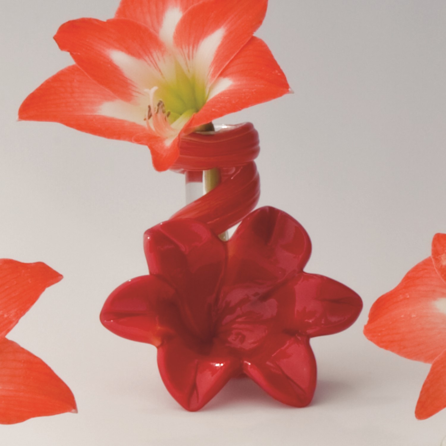 Red Lily Bud Vase