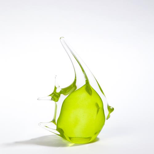 Angelfish - Lime - Medium Angelfish - Lime - Medium