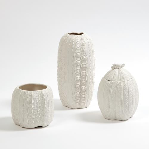 Urchin Collection-Bisque White Urchin Collection-Bisque White