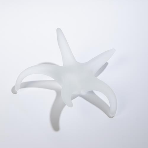 Starfish-Frost Starfish-Frost