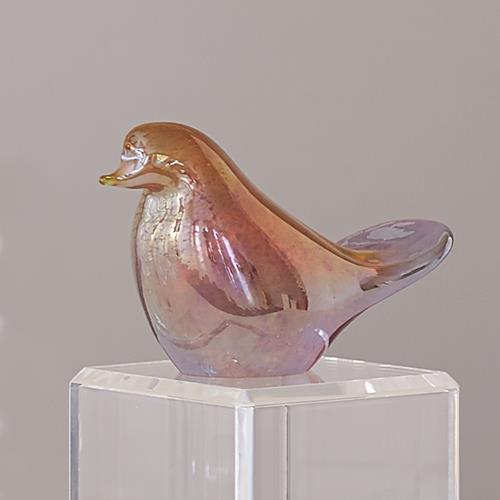 Bird-Iris Gelp Bird-Iris Gelp
