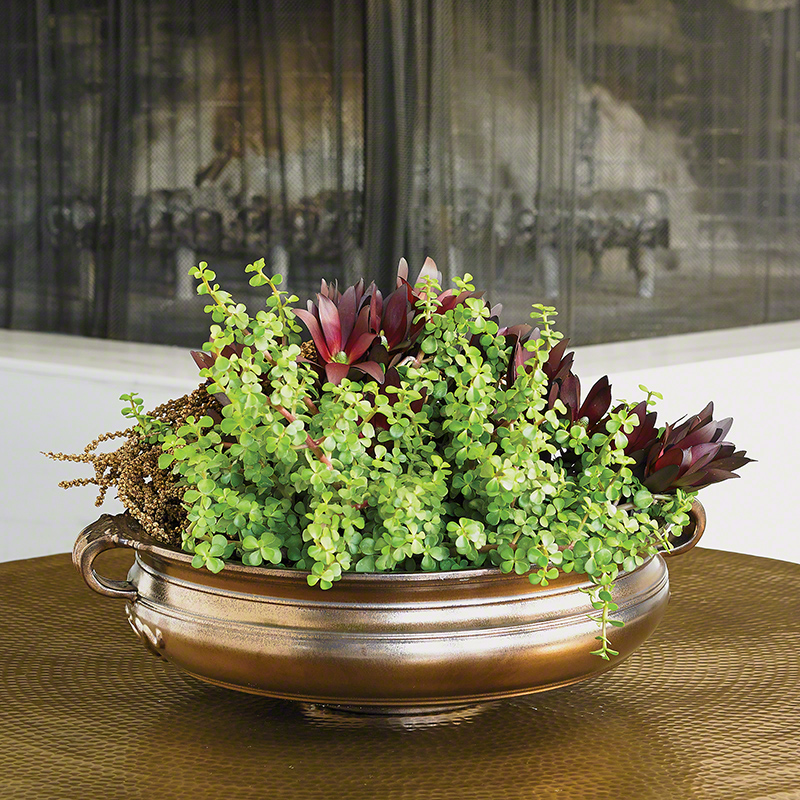 Urli-Bronze Urli-Bronze
