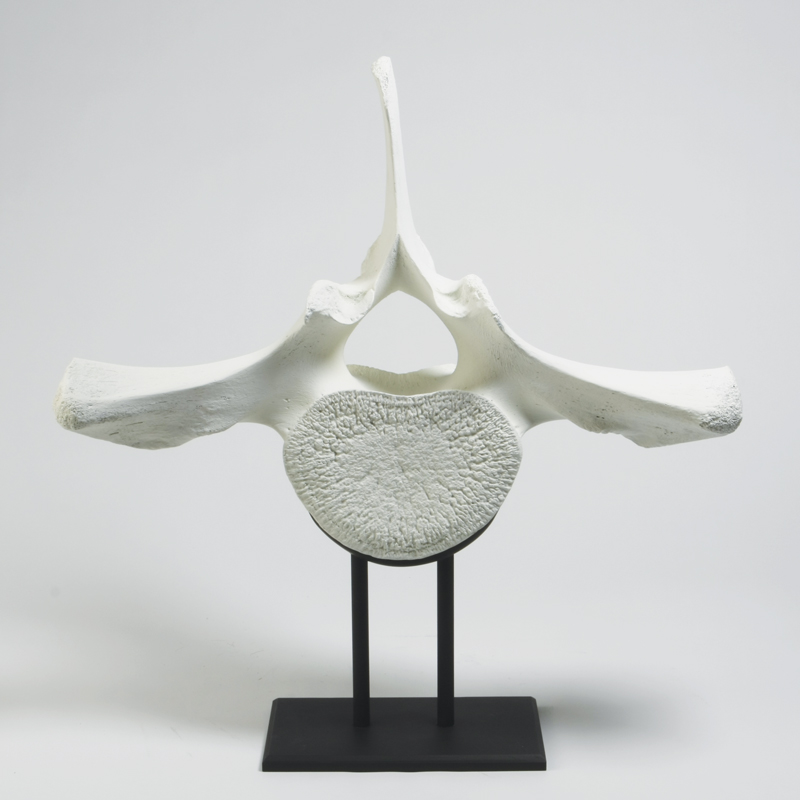 Whale Vertebra On Iron Stand Whale Vertebra On Iron Stand