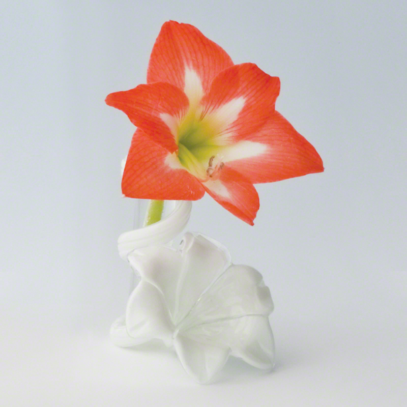 Star Lily Bud Vase Star Lily Bud Vase