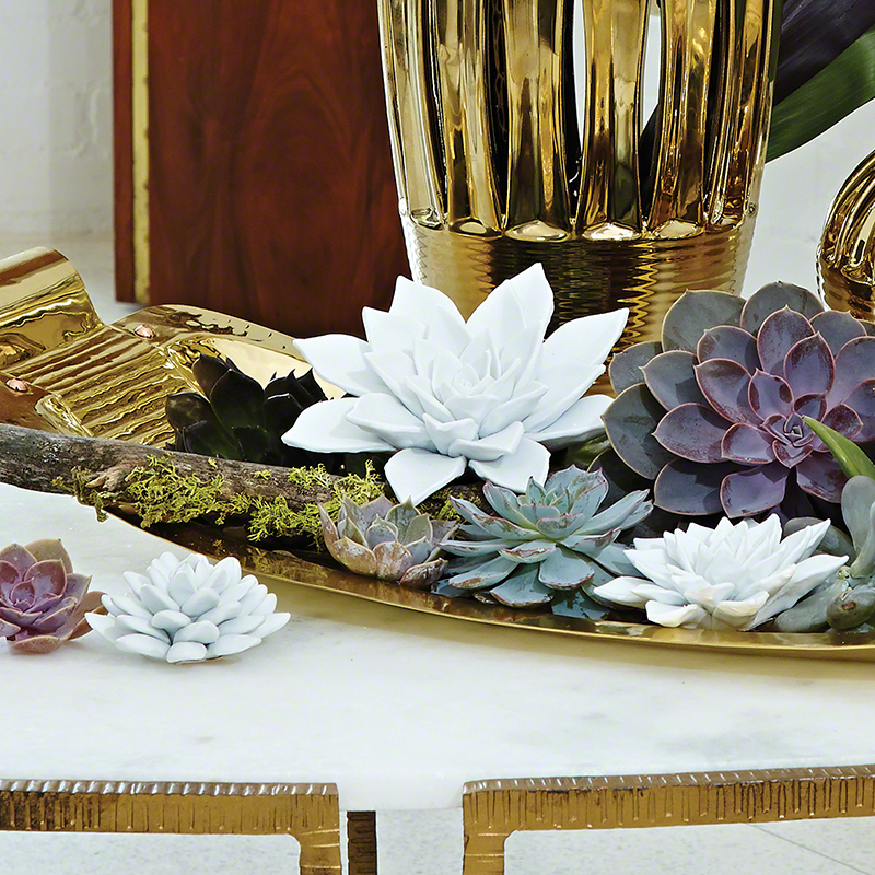 Succulent-Bisque White Succulent-Bisque White