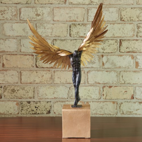 Avian Man Avian Man