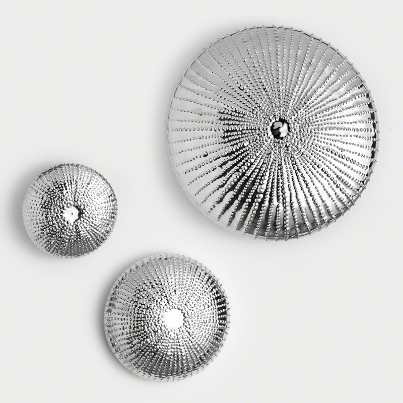 Sea Urchin Wall Sculpture Nickel