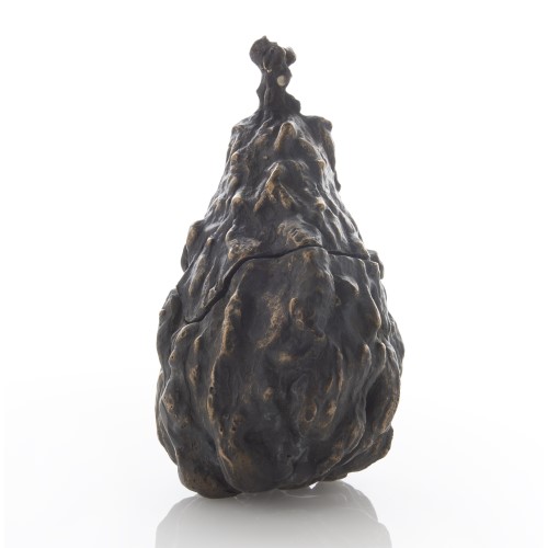 Warted Pear-Bronze
