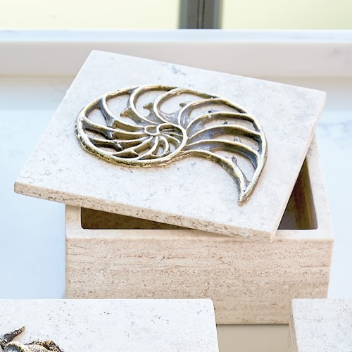 Bronze Nautilus Fossil Travertine Box Bronze Nautilus Fossil Travertine Box