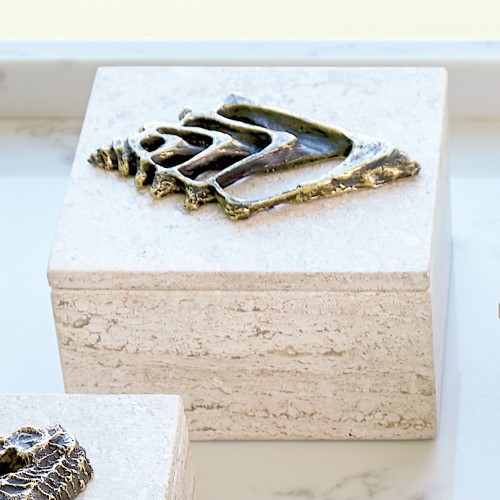 Bronze Conch Fossil Travertine Box Bronze Conch Fossil Travertine Box