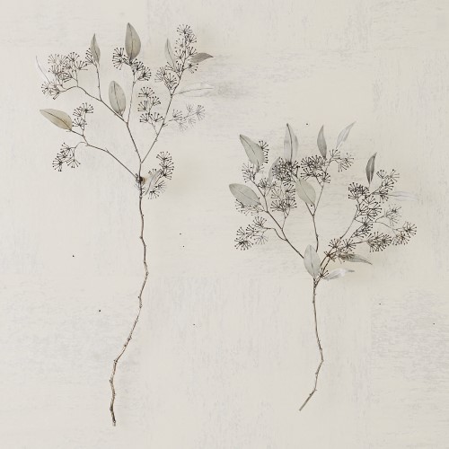 Seeded Eucalyptus-Antique Nickel Seeded Eucalyptus-Antique Nickel