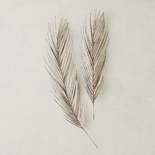 Palm Leaf-Antique Nickel