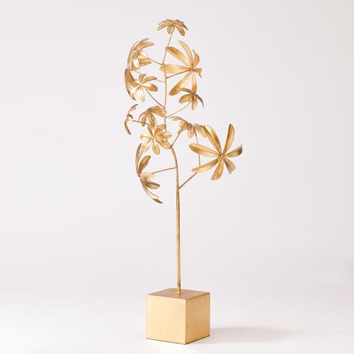 Dieffenbachia Plant-Gold Leaf